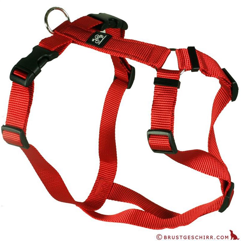Feltmann Kreuzgeschirr 20mm/50-65cm ROT