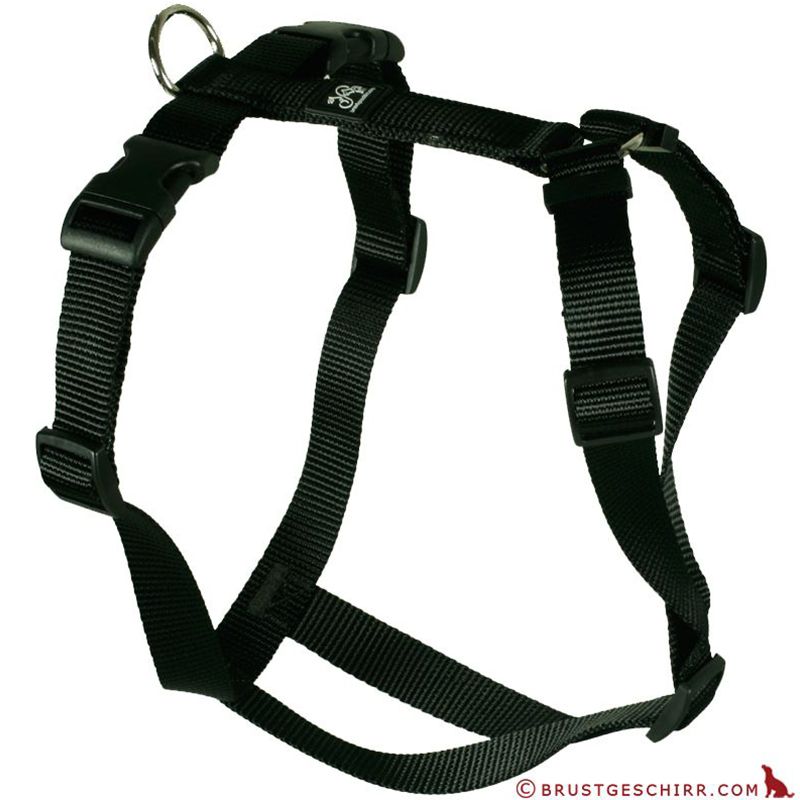 Feltmann Kreuzgeschirr 20mm/50-65cm SCHWARZ