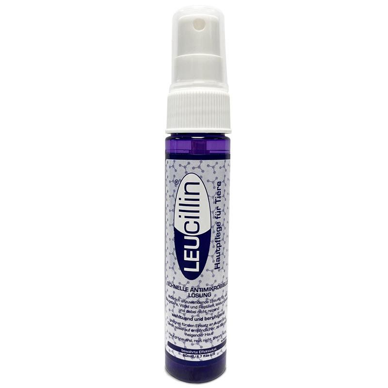 Leucillin Antiseptische Hautpflege Spray 60 ml