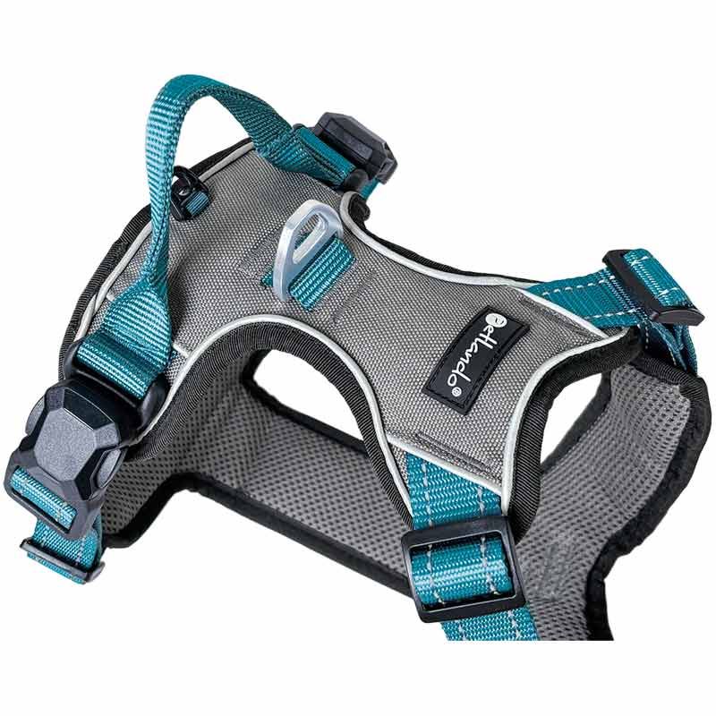 Petlando Magnetech Geschirr, XS, anthrazit/petrol
