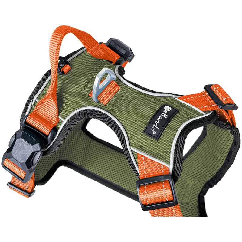 Petlando Magnetech Geschirr, XS, olive/orange