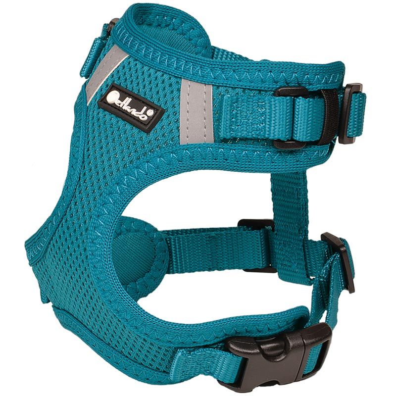 Petlando Mesh Vest, XXS: 14-18cm/25-34cm, petrol