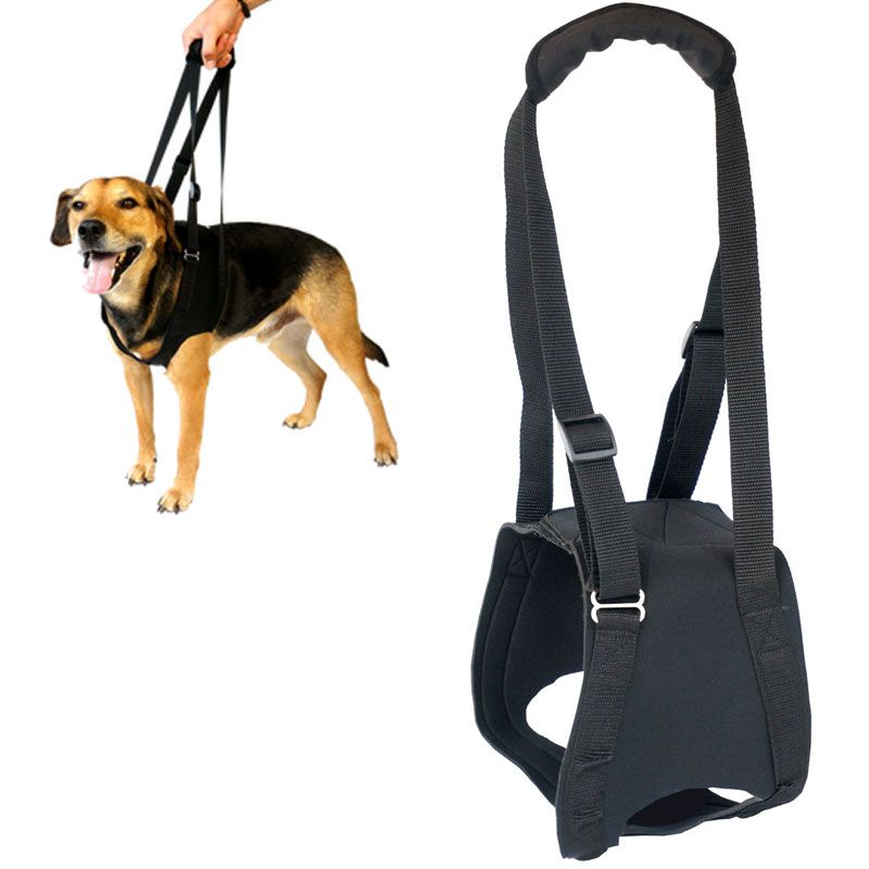Vetlando Gehhilfe, S, Bauch 40-49cm, 5-15kg, schwarz
