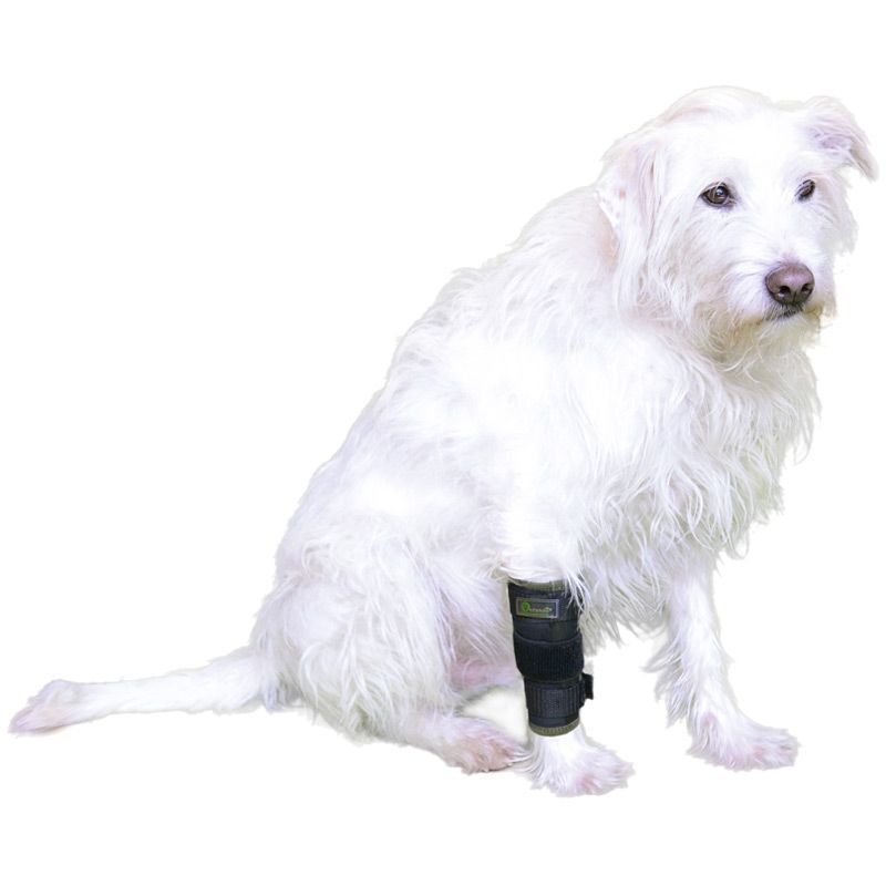 Vetlando Vorderlauf Stützbandage, Gr. S, schwarz