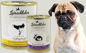 Kopf und Oberkörper eines Mops neben Naturkostprodukten